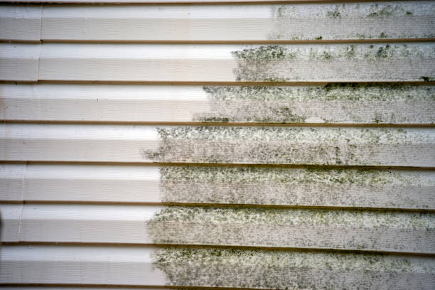 Best Furniture Removal  in West Wareham, MA