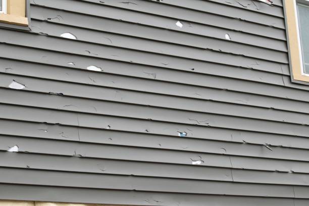 Best Moving and Downsizing Cleanouts  in West Wareham, MA